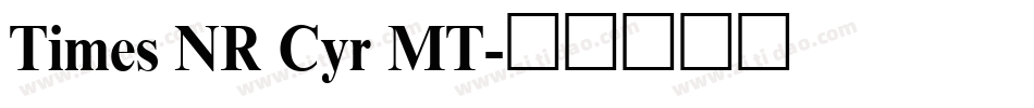 Times NR Cyr MT字体转换